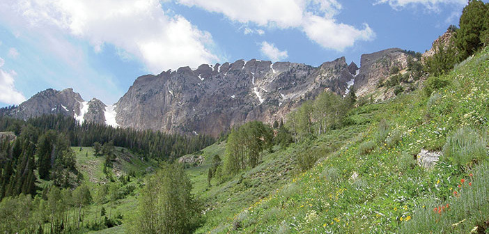 Photo of Deseret Peak