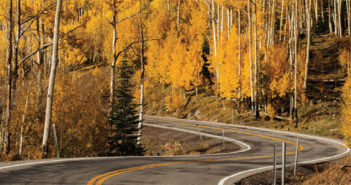 Fall woods in full color with winding road