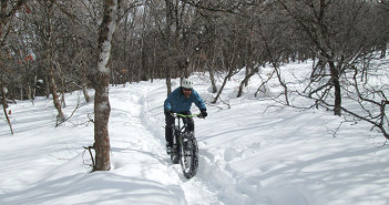 fat biker in the snowy forest
