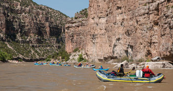 multiple rafts on the river