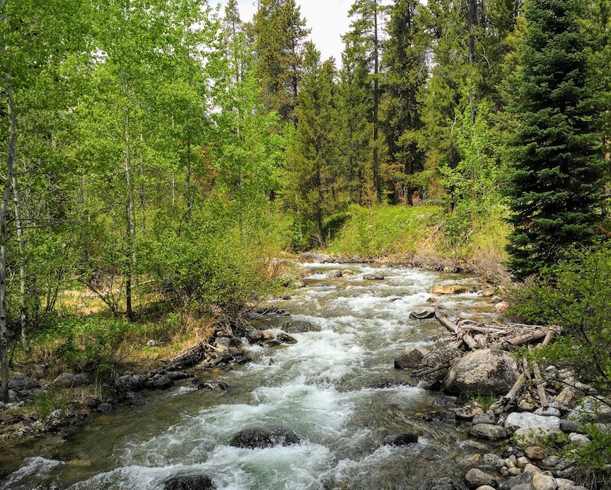 River in Jackson, Wyoming