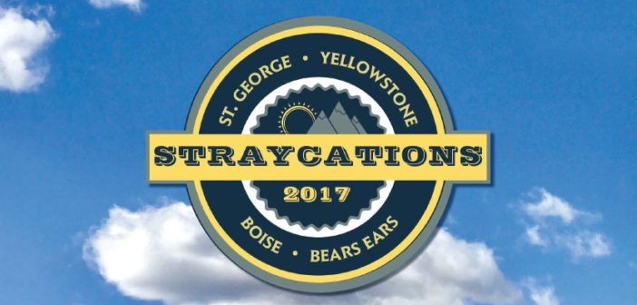 Straycation 2017 graphic