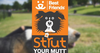 Strut your Mutt banner
