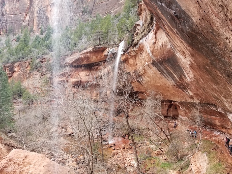 zion national park emerald falls family-friendly hike