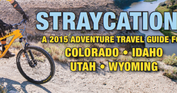 Straycations banner 2015